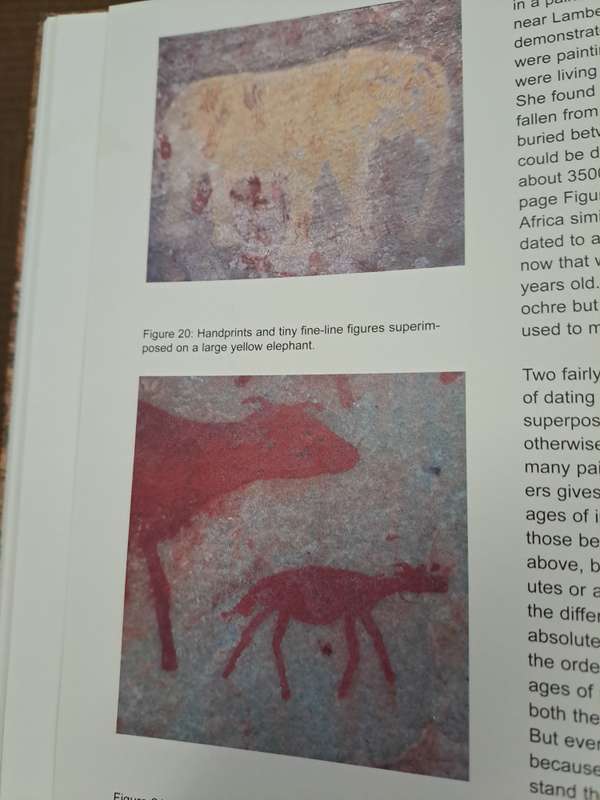 CEDERBERG ROCK PAINTINGS. By John Parkington