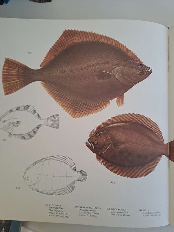 FISHING THE COMPLETE BOOK