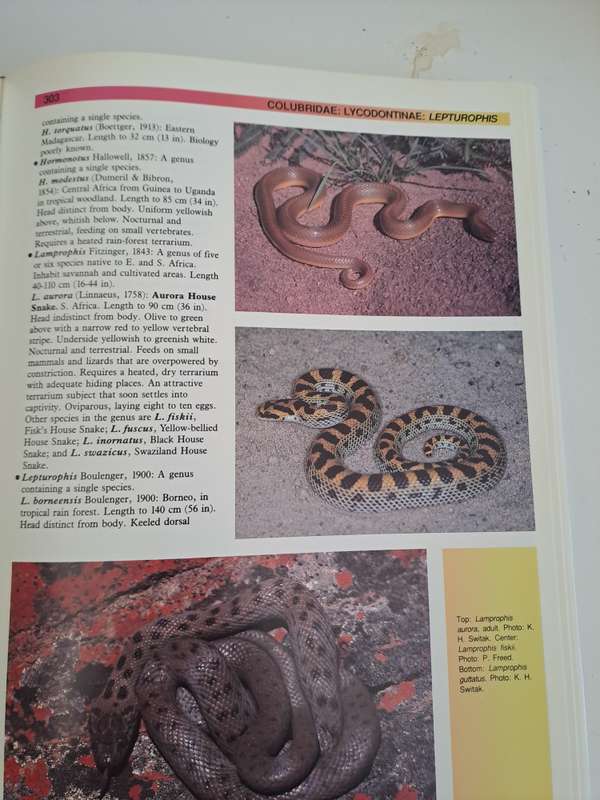 THE ATLAS OF SNAKES OF THE WORLD.  By J Coborn
