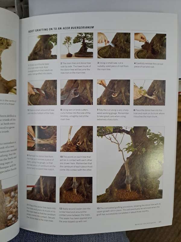 COMPLETE PRACTICAL ENCYCLOPEDIA OF BONSAI