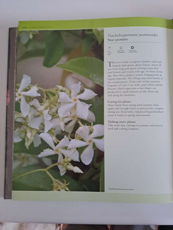 THE COMPLETE GUIDE TO HOUSEPLANTS   By Valerie Bradley