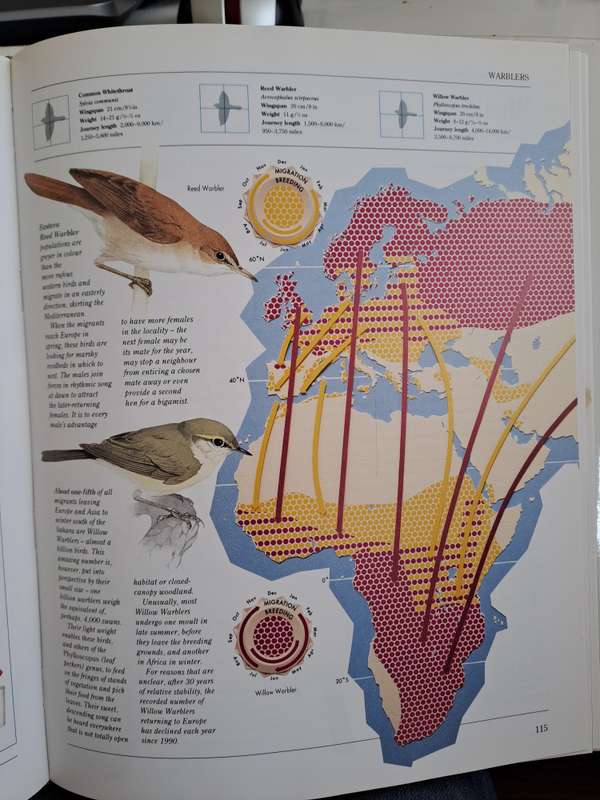 ATLAS OF BIRD MIGRATION