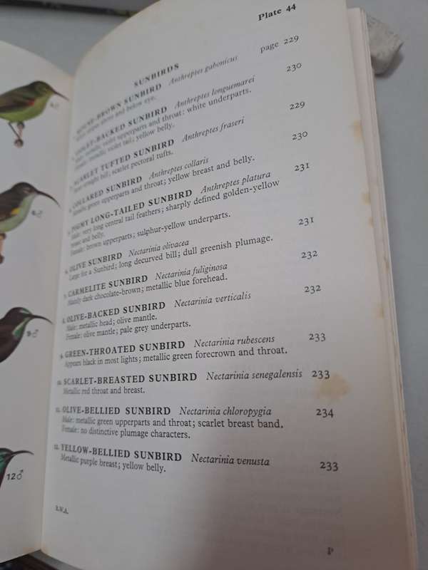 A FIELD GUIDE TO THE BIRDS OF WEST AFRICA. By W Serle, G Morel & W Hasrtwig