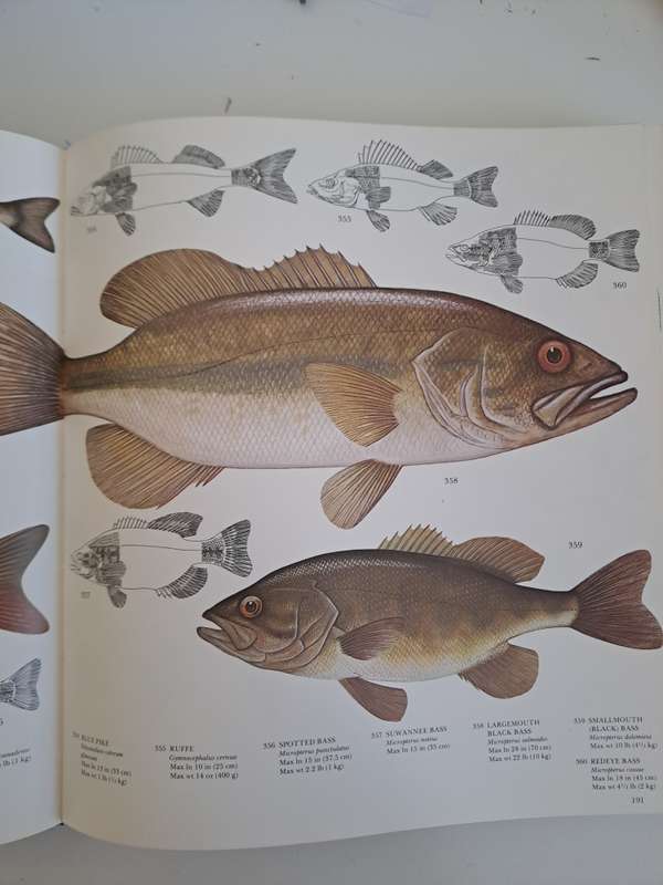 FISHING THE COMPLETE BOOK