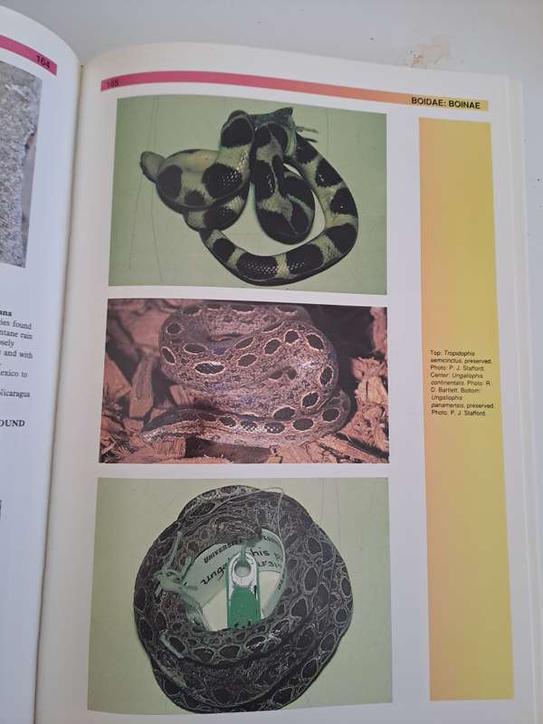 THE ATLAS OF SNAKES OF THE WORLD.  By J Coborn
