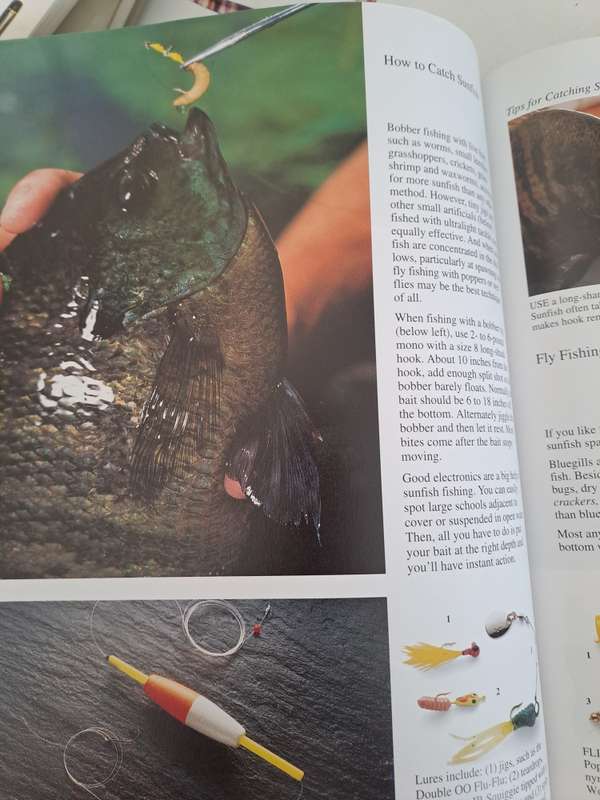 THE ART OF FRESHWATER FISHING