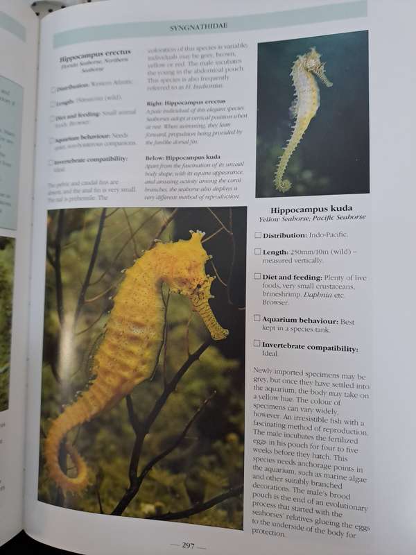 THE BOOK OF MARINE AQUARIUM. By Nick Dakin