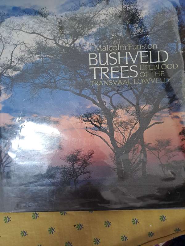 BUSHVELD TREES - By  M. Funston
