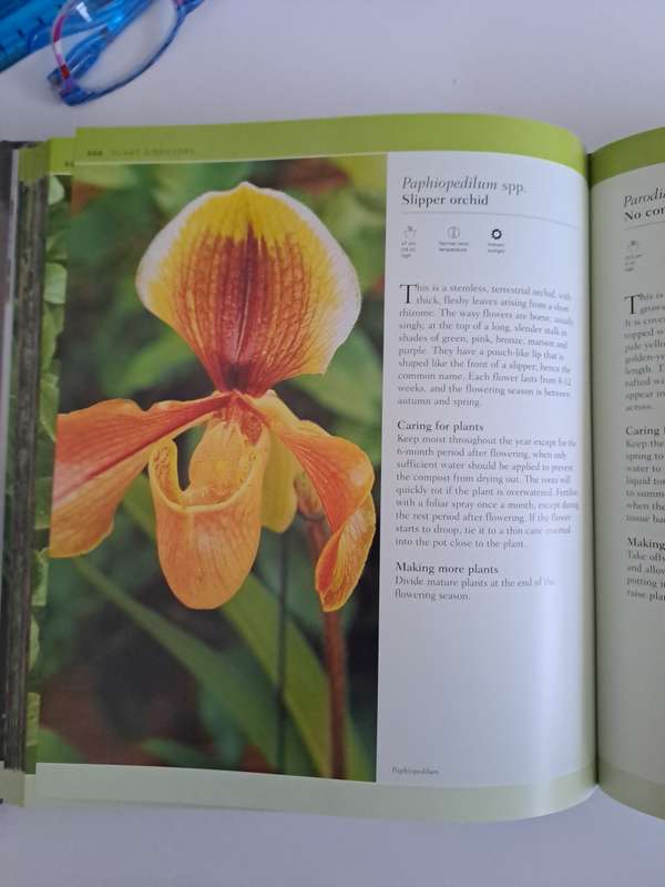 THE COMPLETE GUIDE TO HOUSEPLANTS   By Valerie Bradley