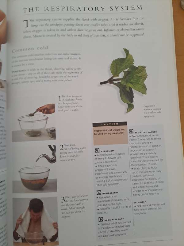 NATURAL HOME REMEDIES.  BY K Sullivan