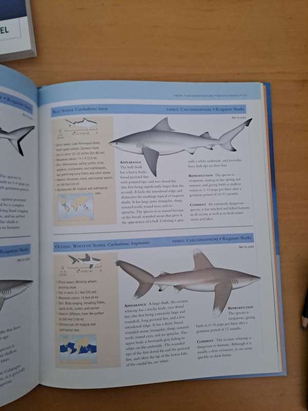 THREE BOOKS ON SHARKS