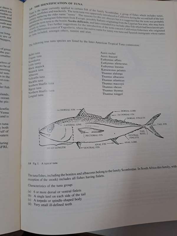 THE TUNA AND BILLFISHES OS SOUTHERN AFRICA