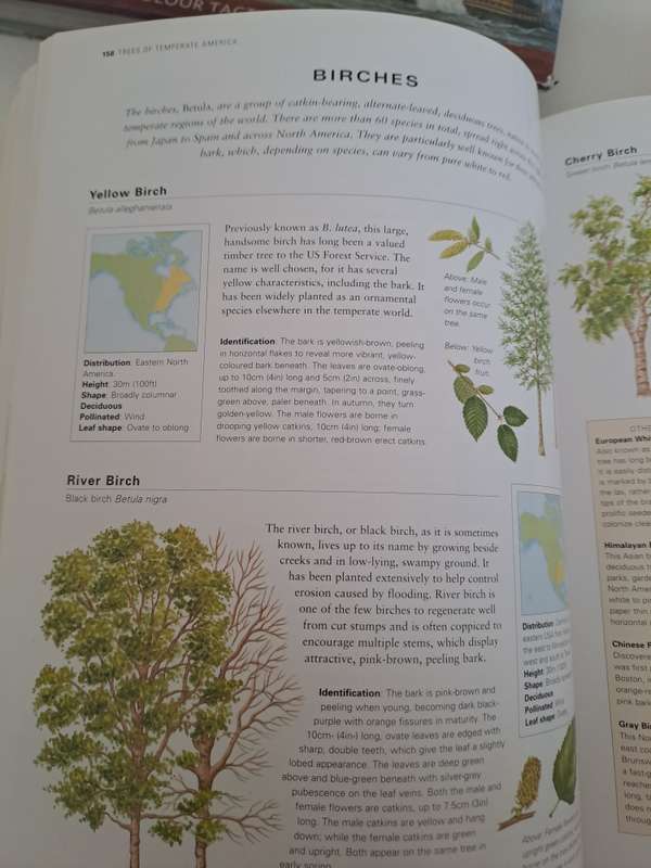 TREES OF THE WORLD.