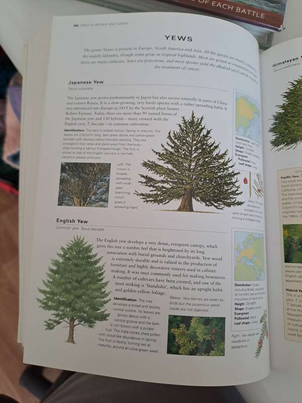 TREES OF THE WORLD.