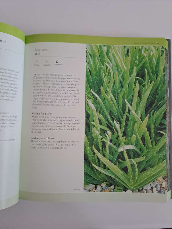 THE COMPLETE GUIDE TO HOUSEPLANTS   By Valerie Bradley