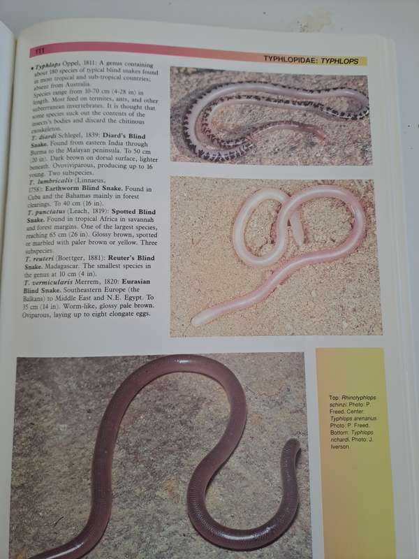 THE ATLAS OF SNAKES OF THE WORLD.  By J Coborn