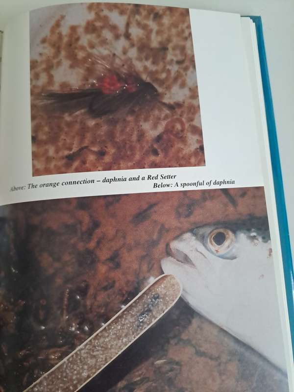 TROUT THROUGH THE LOOKING÷GLASS.By M Meintjes