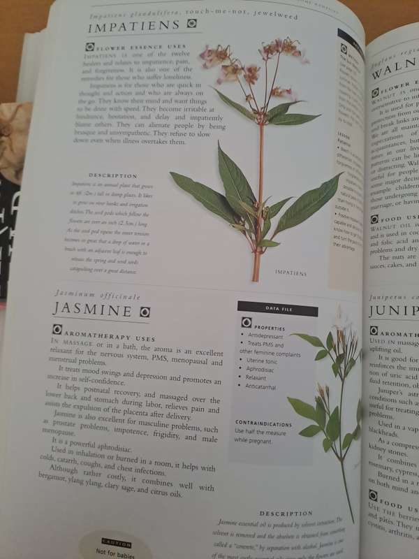 NATURAL HOME REMEDIES.  BY K Sullivan