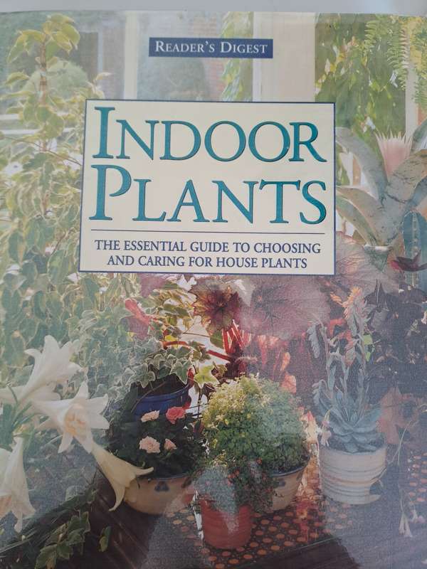 INDOOR 0PANTS. By J Courtier & G Clarke