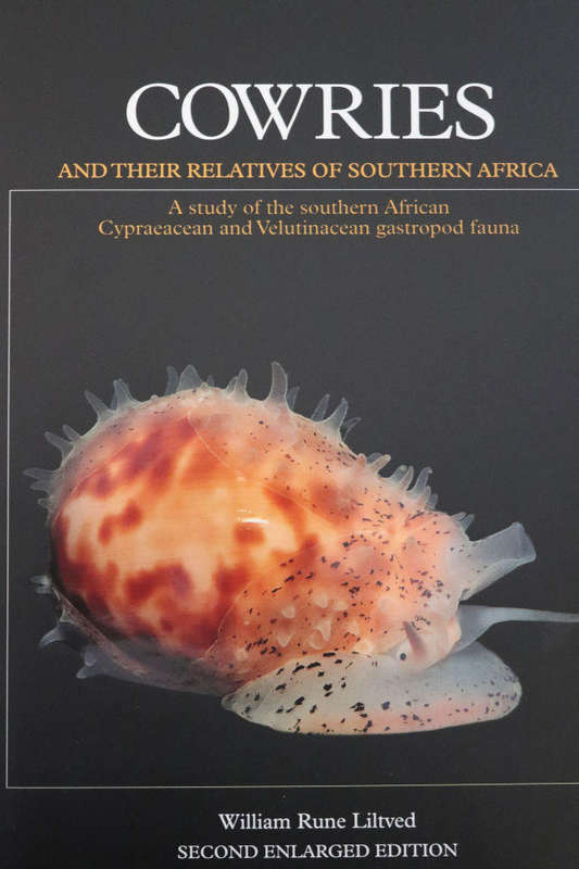 COWRIES AND THEIR RELATIVES OF SOUTHERN AFRICA By W Liltved .  SIGNED.