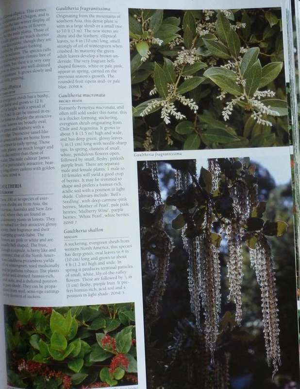 THE ULTIMATE BOOK OF TREES AND SHRUBS  By Kristo Pienaar