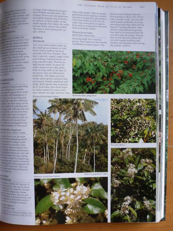 THE ULTIMATE BOOK OF TREES AND SHRUBS  By Kristo Pienaar