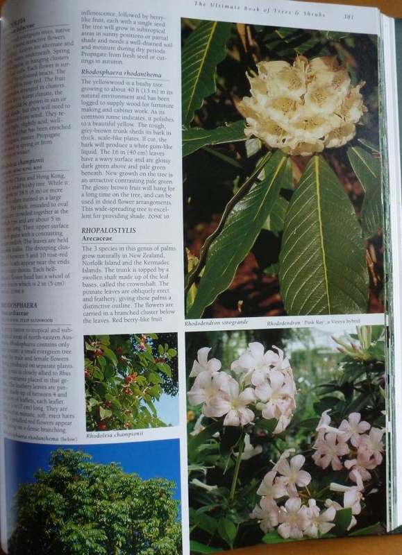 THE ULTIMATE BOOK OF TREES AND SHRUBS  By Kristo Pienaar