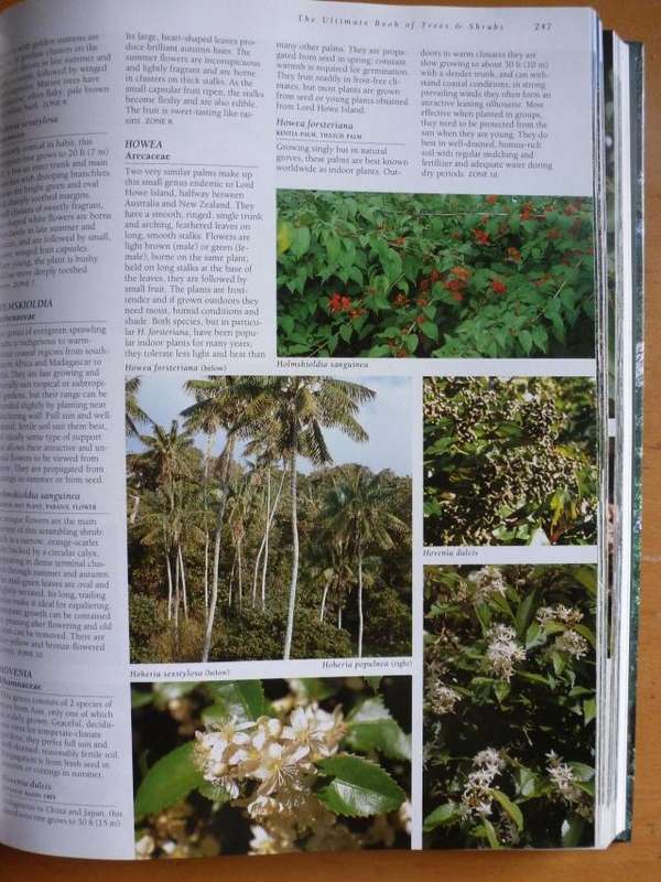 THE ULTIMATE BOOK OF TREES AND SHRUBS  By Kristo Pienaar