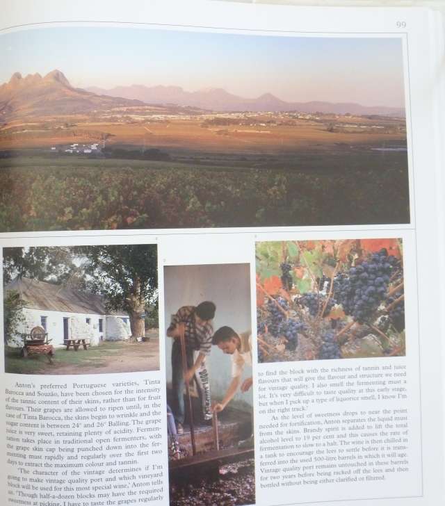 SOUTH AFICAN WINE BOOKS X 2