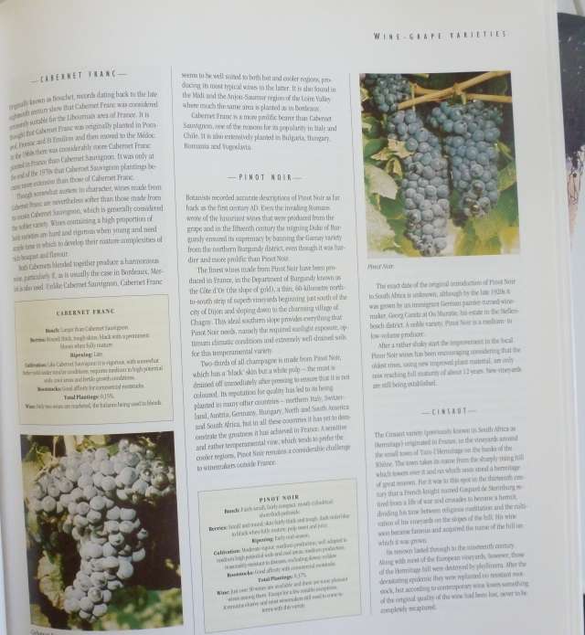 SOUTH AFICAN WINE BOOKS X 2