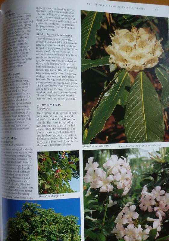 THE ULTIMATE BOOK OF TREES AND SHRUBS  By Kristo Pienaar