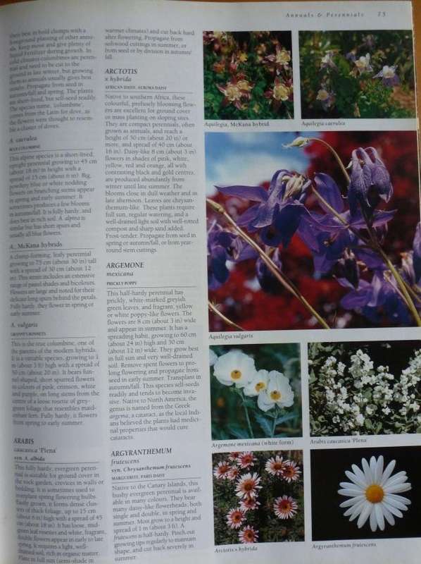 THE ULTIMATE SOUTHERN AFRICN GARDENING BOOK. By Kristo Pienaar