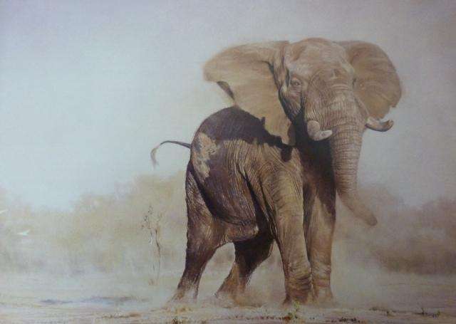 ELEPHANTS OF AFRICA  ByPaul Bosman & A Hall-Martin.  De Luxe Limited Edition