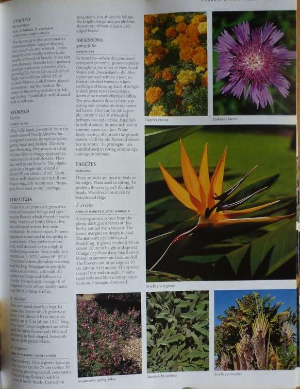 THE ULTIMATE SOUTHERN AFRICN GARDENING BOOK. By Kristo Pienaar
