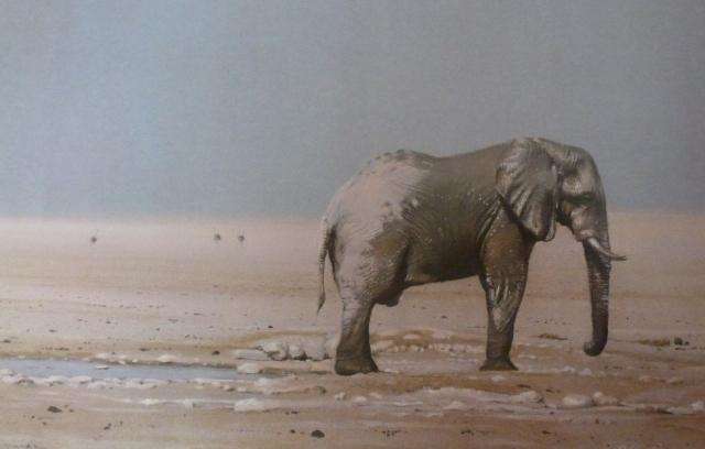 ELEPHANTS OF AFRICA  ByPaul Bosman & A Hall-Martin.  De Luxe Limited Edition