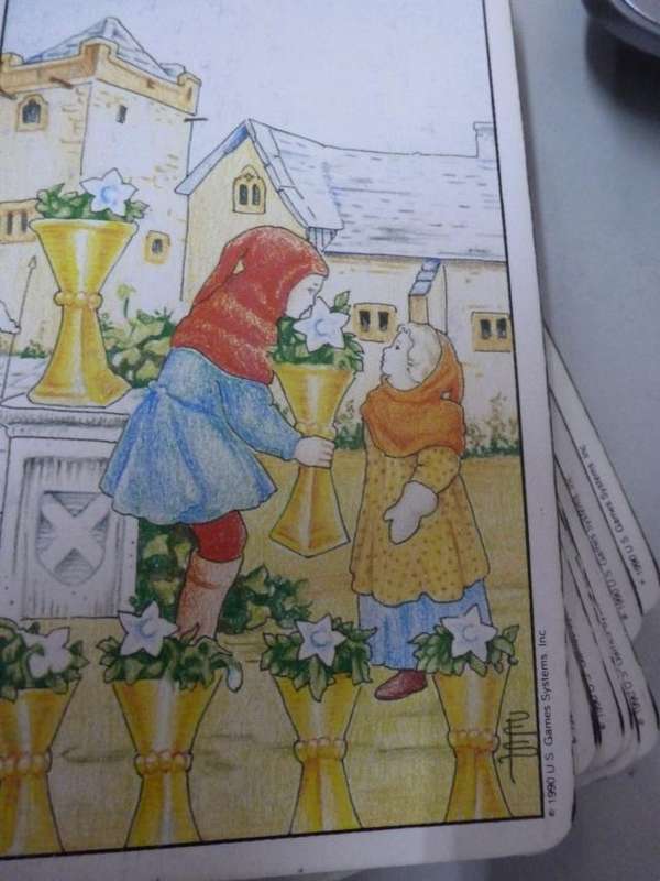 TAROT CARD DECK ROBIN WOOD
