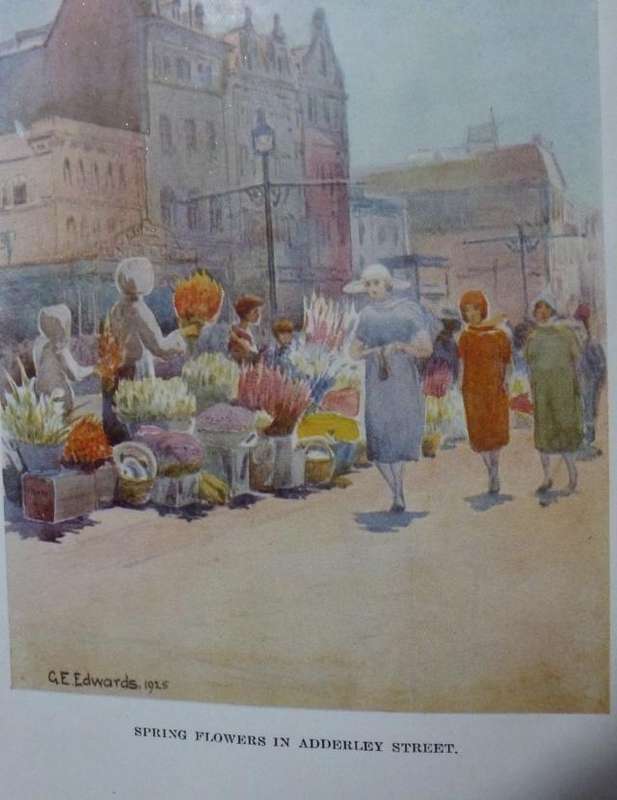CAPE TOWN TREASURES OF THE MOTHER CITYH OF CAPE TOWN. By C Lewis & G Edwards
