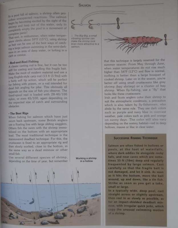 FISHING BOOKS X 2