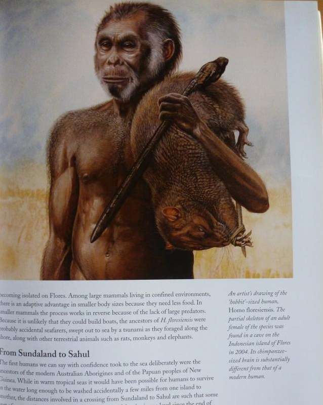 THE GREAT MIGRATIONS  By John Haywood