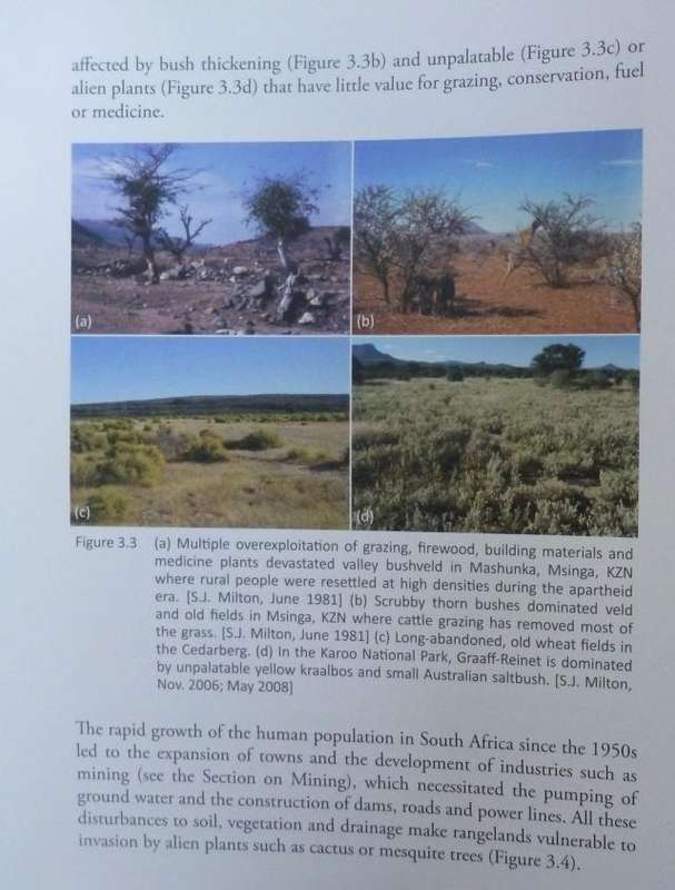 OBSERVATIONS ON ENVIRONMENTAL CHANGE IN SOUTH AFRICA By L Zietsman
