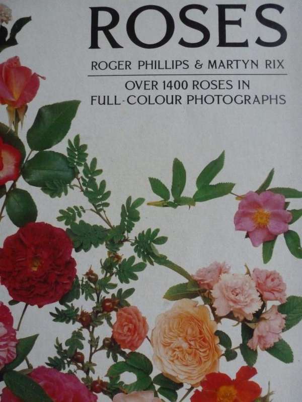 ROSES  By R Phillips & M Rix