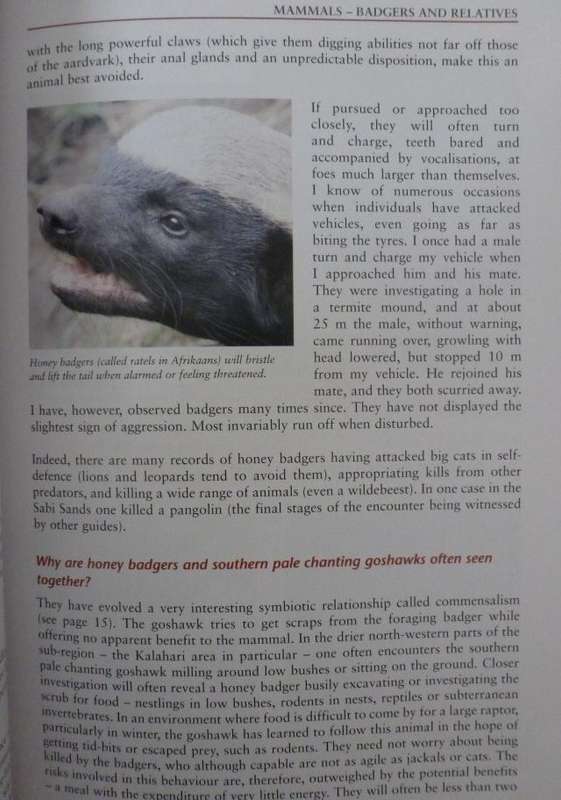 BEAT ABOUT THE BUSH MAMMALS. By Trevor Carnaaby