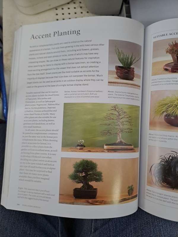 COMPLETE PRACTICAL ENCYCLOPEDIA OF BONSAI