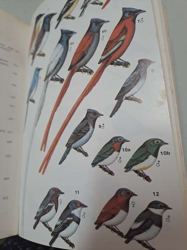 A FIELD GUIDE TO THE BIRDS OF WEST AFRICA. By W Serle, G Morel & W Hasrtwig