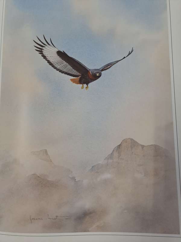HUNTERS OF THE AFRICAN SKY. By Peter Steyn & C Arnott