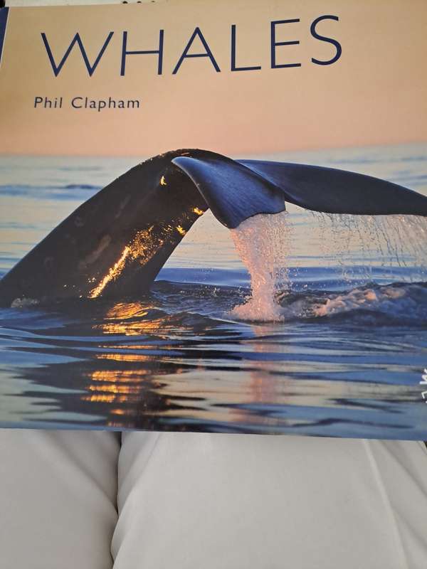 WHALES. By Phil Claphan