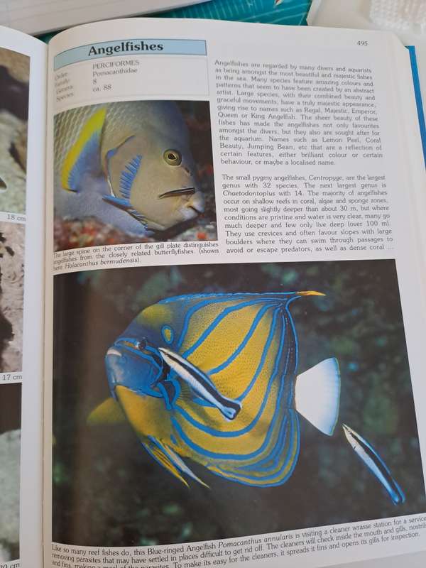 WORLD ATLAS OF MARINE FISHES.  By R Kuiter & H Debelius