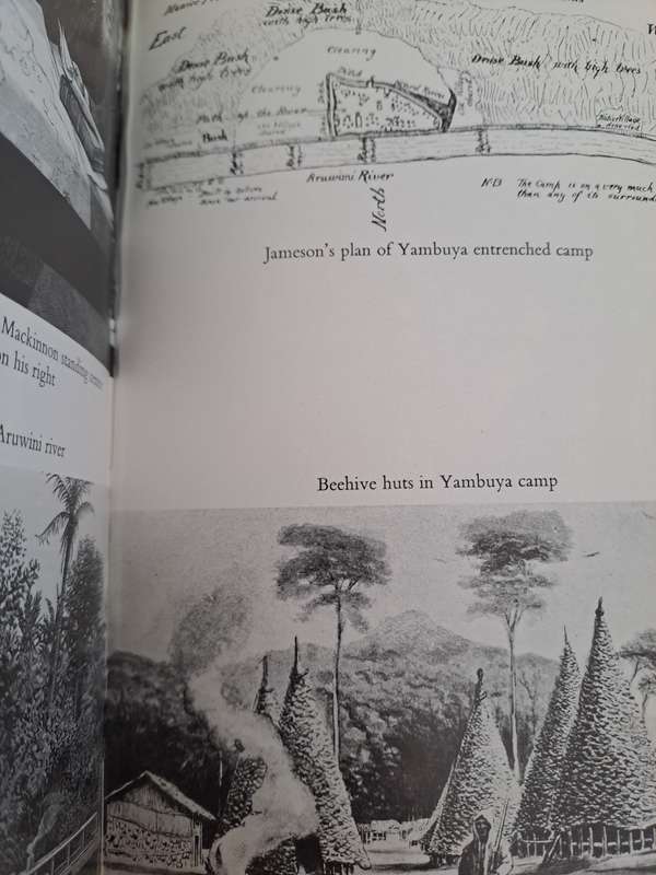 IN LIMBO. The story of Stanley's rear column. By T Gould