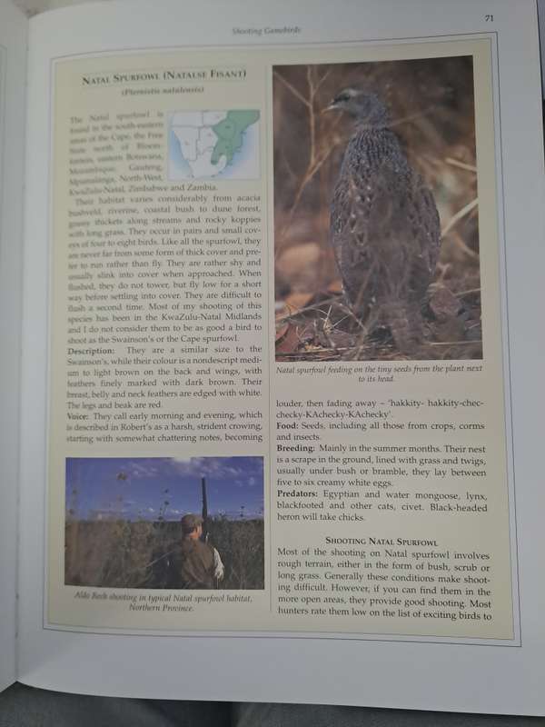 GAMRBIRD SHOOTING IN SOUTHERN AFRICA.  By C Vary