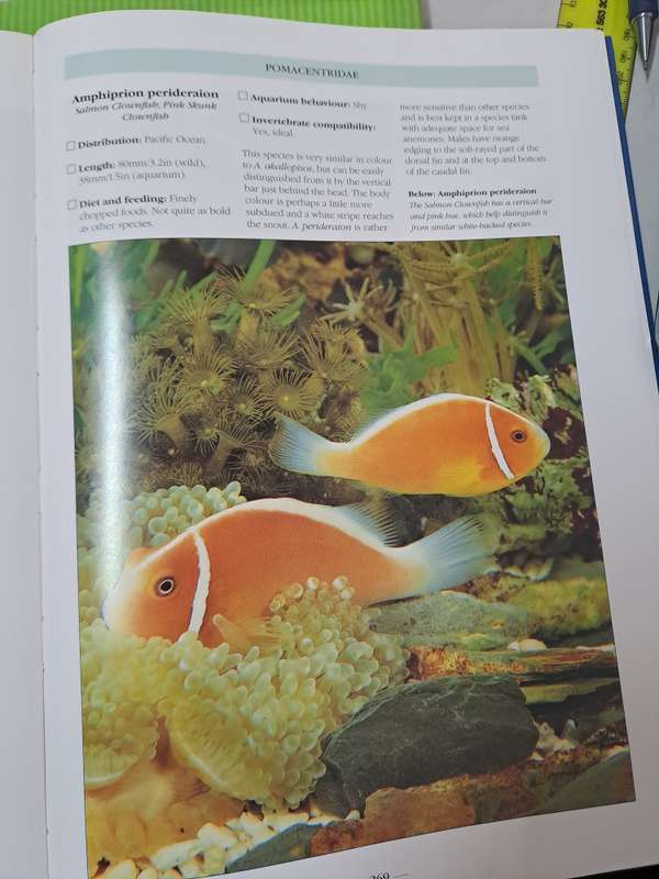 THE BOOK OF MARINE AQUARIUM. By Nick Dakin